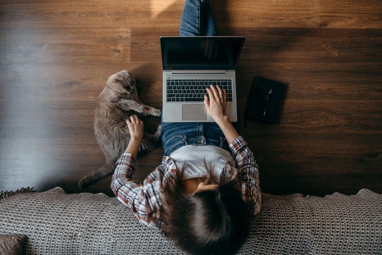 Working home concept - woman with  notebook,  laptop and cat. Freelancer stay at home view from above