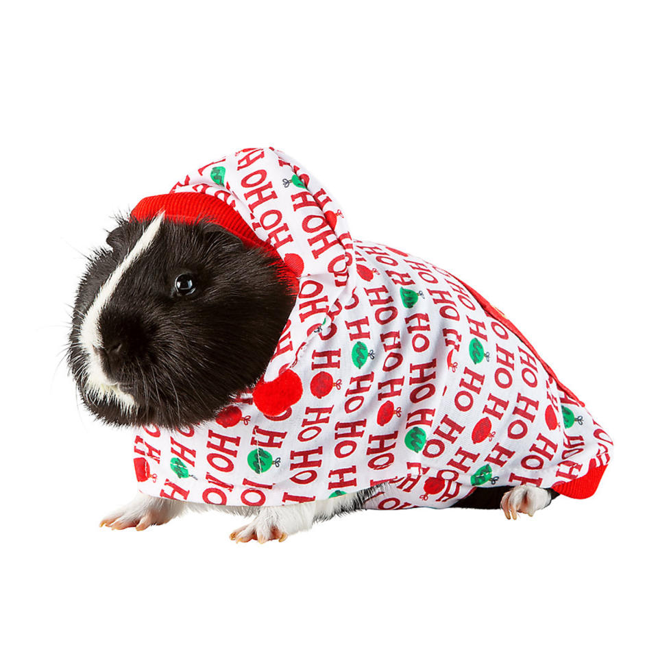 <p>Your guinea pig will be ready for Santa to sneak down the chimney in these bold PJs. </p> <p><strong>Buy it!</strong> Ho Ho Ho Small Pet Holiday Pajamas, $6.99; <a href="https://petsmart.haujjd.net/c/249354/764629/11083?subId1=PEO15HolidayOutfitsforSmallPetsthatLetReptilesandGuineaPigsJointheFestiveFunkbender1271PetGal13032410202112I&u=https%3A%2F%2Fwww.petsmart.com%2Ffeatured-shops%2Fthe-gift-shop%2Fgifts-for-every-pet%2Fsmall-pet%2Fmerry-and-brightandtrade-ho-ho-ho-small-pet-holiday-pajamas-65901.html" rel="sponsored noopener" target="_blank" data-ylk="slk:PetSmart.com;elm:context_link;itc:0;sec:content-canvas" class="link ">PetSmart.com</a></p>