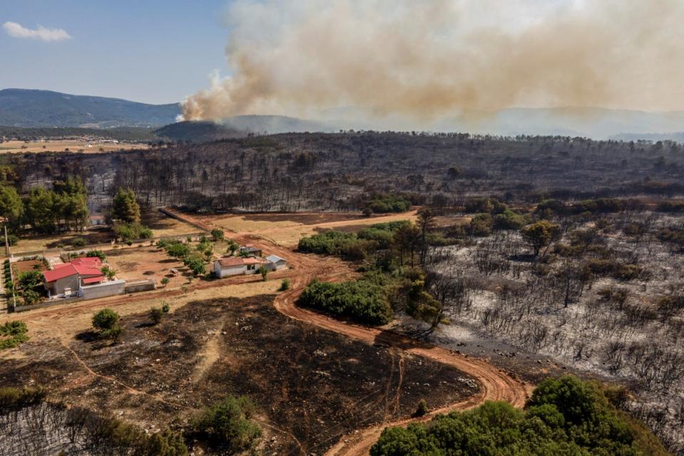 An aerial view shows a burnt forest after a fire in Magoula, 21km northwest of central Athens (AFP via Getty Images)