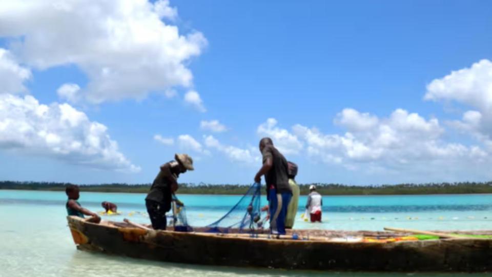 奔巴島（Pemba island）。（圖／翻攝自 衛報）