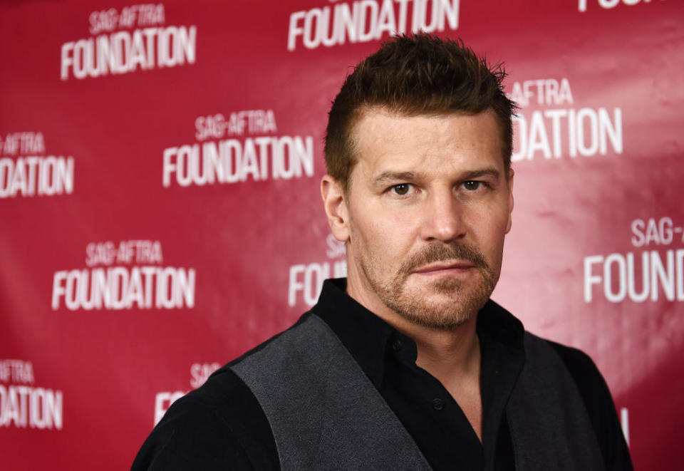 David Boreanaz