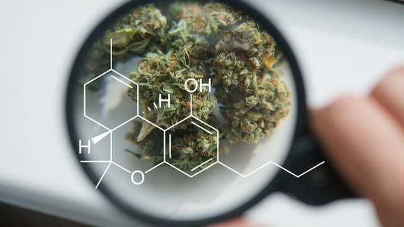 Marijuana under microscope and the chemical formula for cannabidiol.