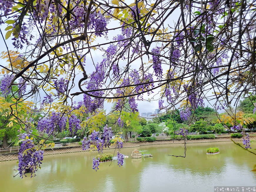 桃園｜大湖紀念公園