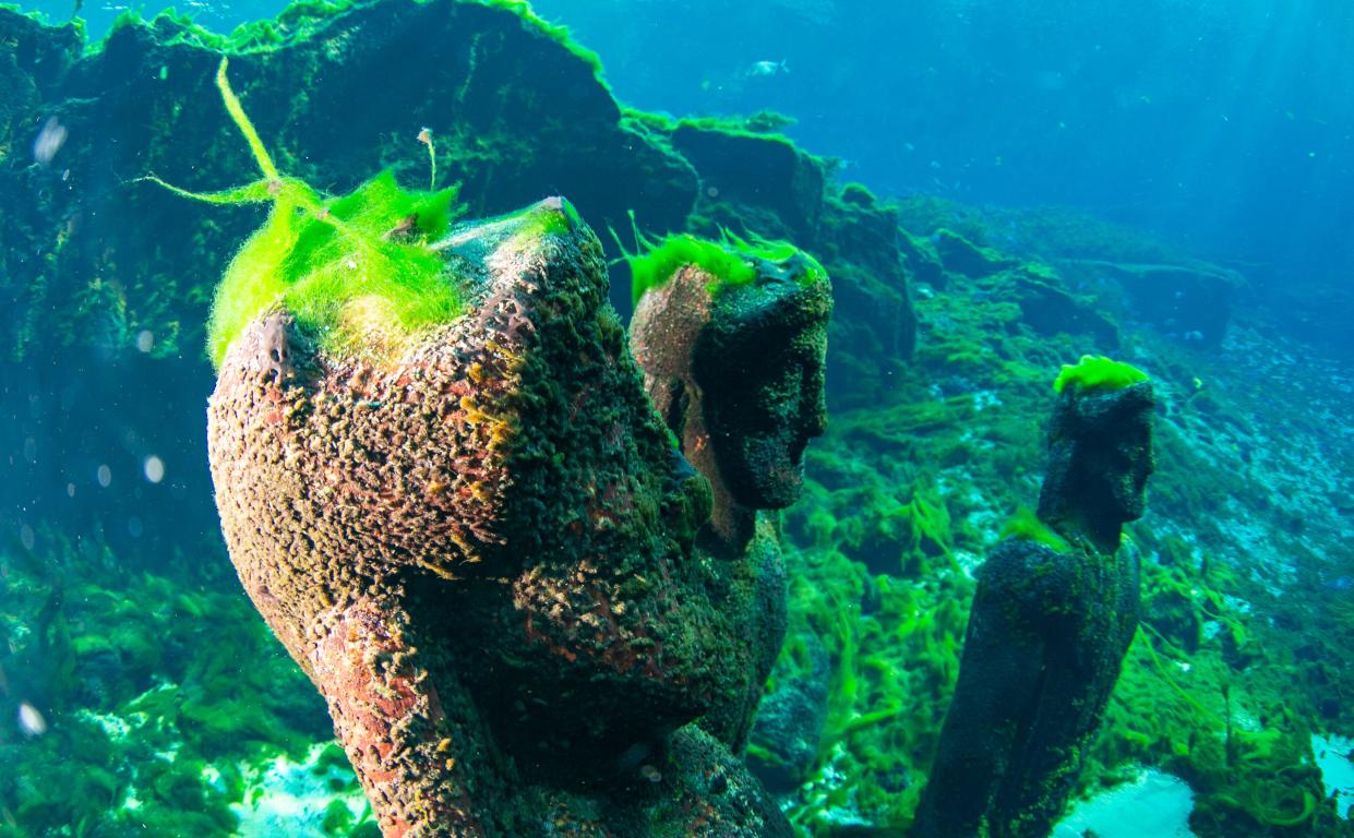 Algae grows on statues in the main spring at Silver Springs State Park on July 25. The statues were used in an episode of the "I Spy" detective series in the 1960s.