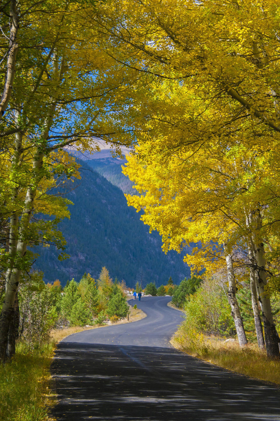 Rocky Mountain National Park | Colorado