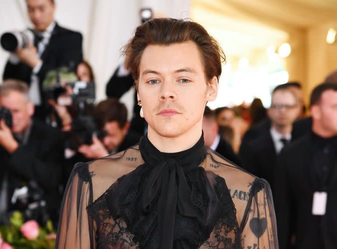 Harry Style has been known to blur gender lines with his outfits (Getty Images for The Met Museum/Vogue)