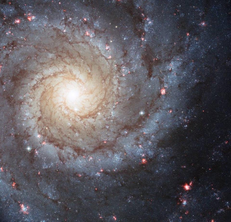 A Hubble Space Telescope image of the spiral galaxy NGC 628, which may resemble our own Milky Way galaxy. (Nasa)