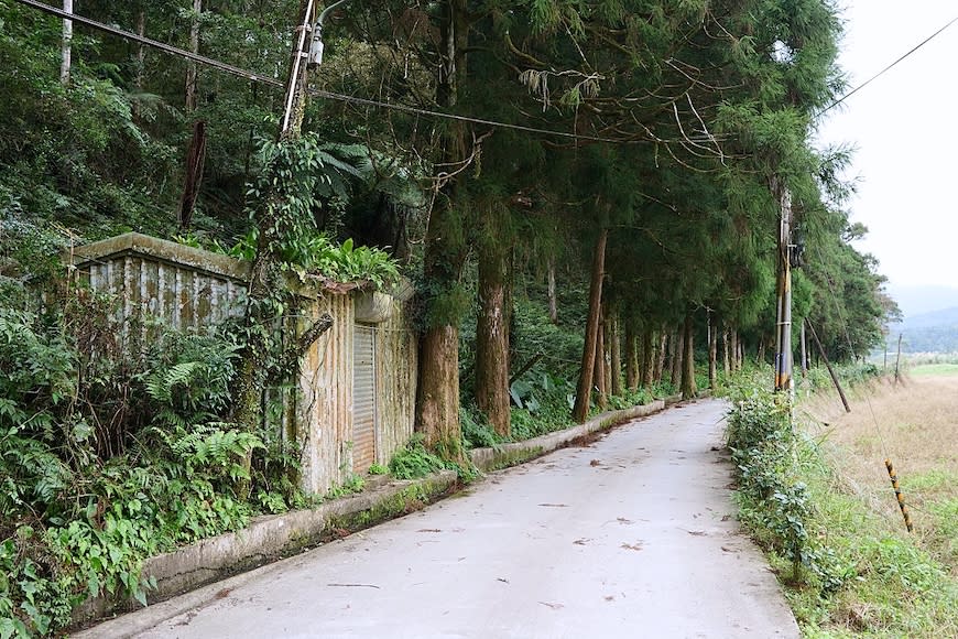 宜蘭雙連埤環湖步道