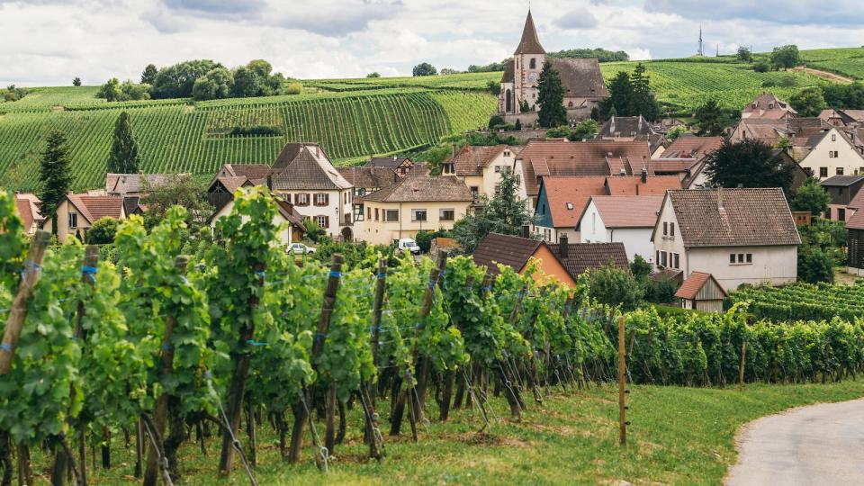 Best Wine Gifts 2020: Virtually travel to French vineyards via Somm TV