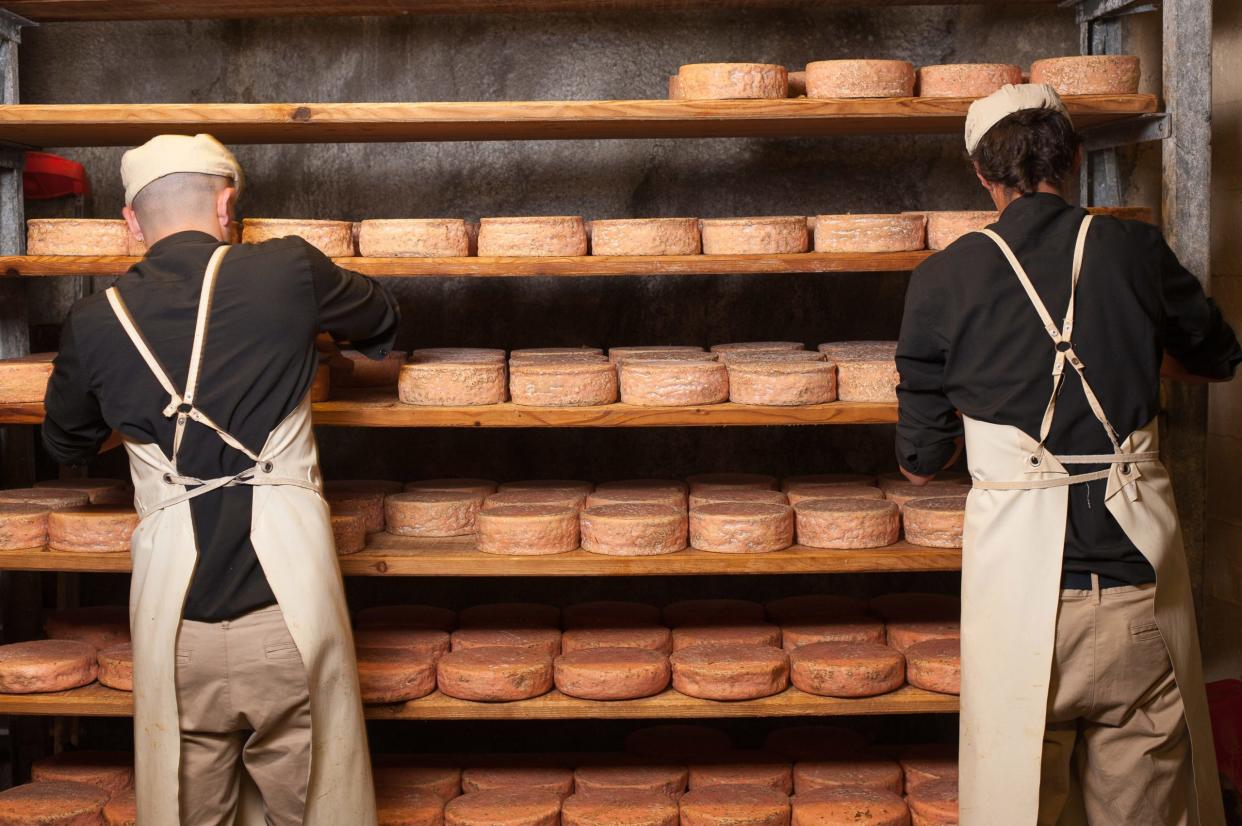 Rognaix (Französische Alpen, Südostfrankreich). Unternehmen "Les caves d'Affinage de Savoie", Käsereifungsbetrieb. Tomme-Käse mit gewaschener Rinde, der mit Bier gereift ist. - Copyright: Andia/Universal Images Group/Getty Images