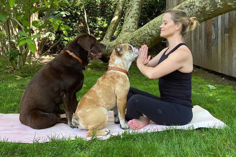 Pawfect Companions! Reese Witherspoon's Cutest Photos With Her Dogs