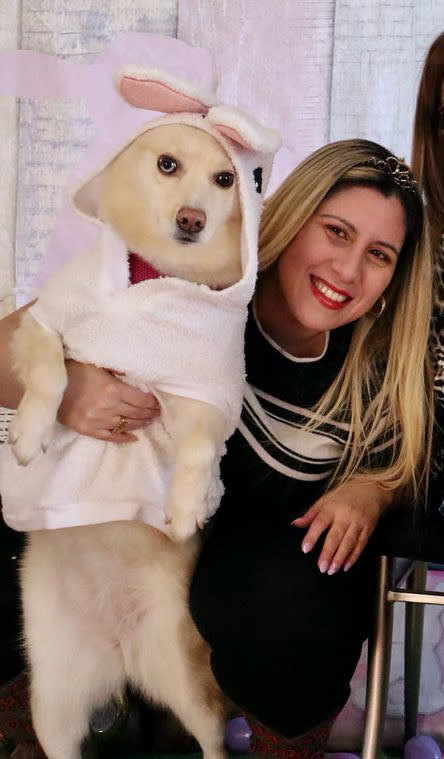 Arya (pictured here in happier times with owner Lisa Murena) died of heart failure four days after she was clipped by a stray bullet fired through the window of the family’s Queens home. Instagram / aryathepomsky2020