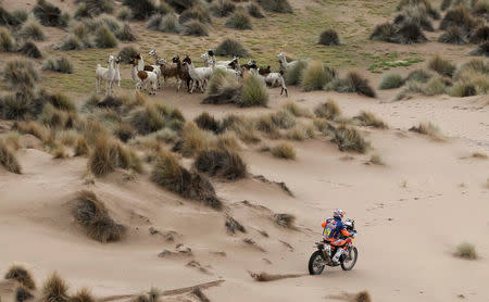 Dakar Rally - 2017 Paraguay-Bolivia-Argentina Dakar rally - 39th Dakar Edition - Seventh stage from Oruro to Uyuni, Bolivia 09/01/17. Britain's Sam Sunderland rides his KTM. REUTERS/Martin Mejia/Pool