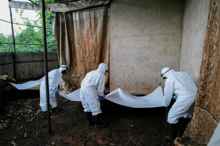 Ein Forschungsteam, das neu auftretende Zoonosen untersucht, bereitet sich auf die Entnahme von Proben aus einem Fledermauszuchtstall im Accra Zoo in Accra, Ghana, im Jahr 2022 vor. (Francis Kokoroko/Reuters)