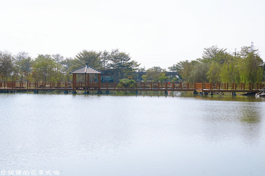 屏東新埤鄉綜合休閒公園｜向日葵花海