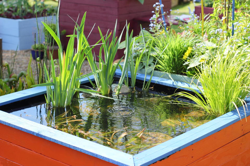 2. Construct a pond surround from pallets