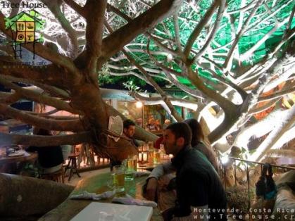 treehouse restaurant