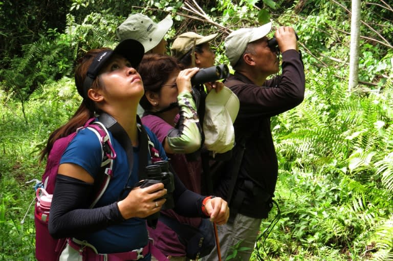 A group of Manila-based bird watchers, accompanied by local guide Felizardo Goring (R), look for birds in a remote forest in Bislig, in the southern Philippines