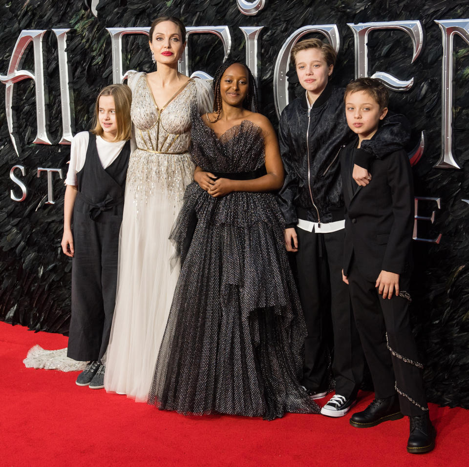 Angelina Jolie and family (Samir Hussein / WireImage)