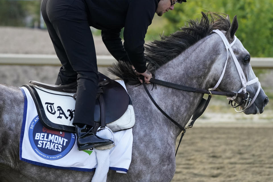 Tapit Trice trains ahead of the Belmont Stakes horse race, Friday, June 9, 2023, at Belmont Park in Elmont, N.Y. (AP Photo/John Minchillo)