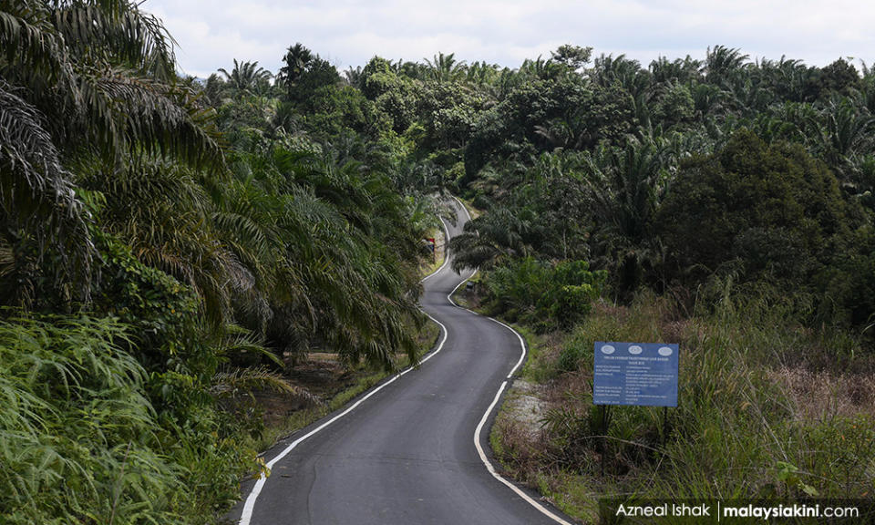 A decent Internet connection for Kampung Orang Asli Kemidak folk means a 15km journey through this lonely road carving through an oil palm forest.