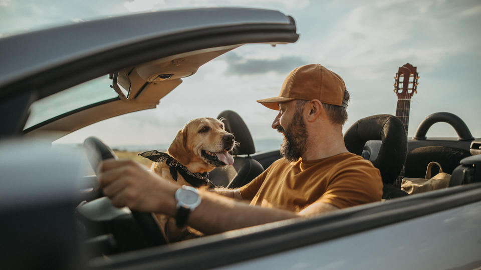 Photo of mature man traveling with his dog in a convertible.