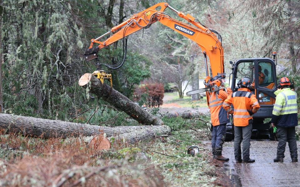 Workmen clear fallen trees at Fort Augustus