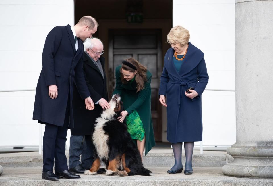 <p>Prince William and Kate Middleton met with the President of Ireland and his wife—and most importantly, their Bernese Mountain Dog Bród.</p>