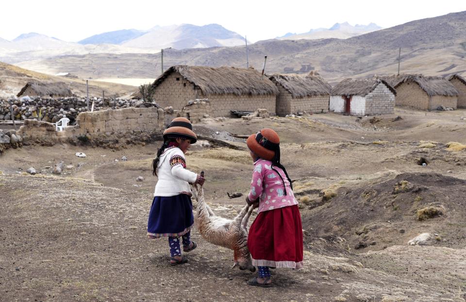 Girls carry a dying sheep, at the Cconchaccota community in the Apurimac region of Peru, Saturday, Nov. 26, 2022. Because of the ongoing drought dead sheep and lambs so weak they can barely stand can be found nearby among sparse yellow grass. (AP Photo/Guadalupe Pardo)