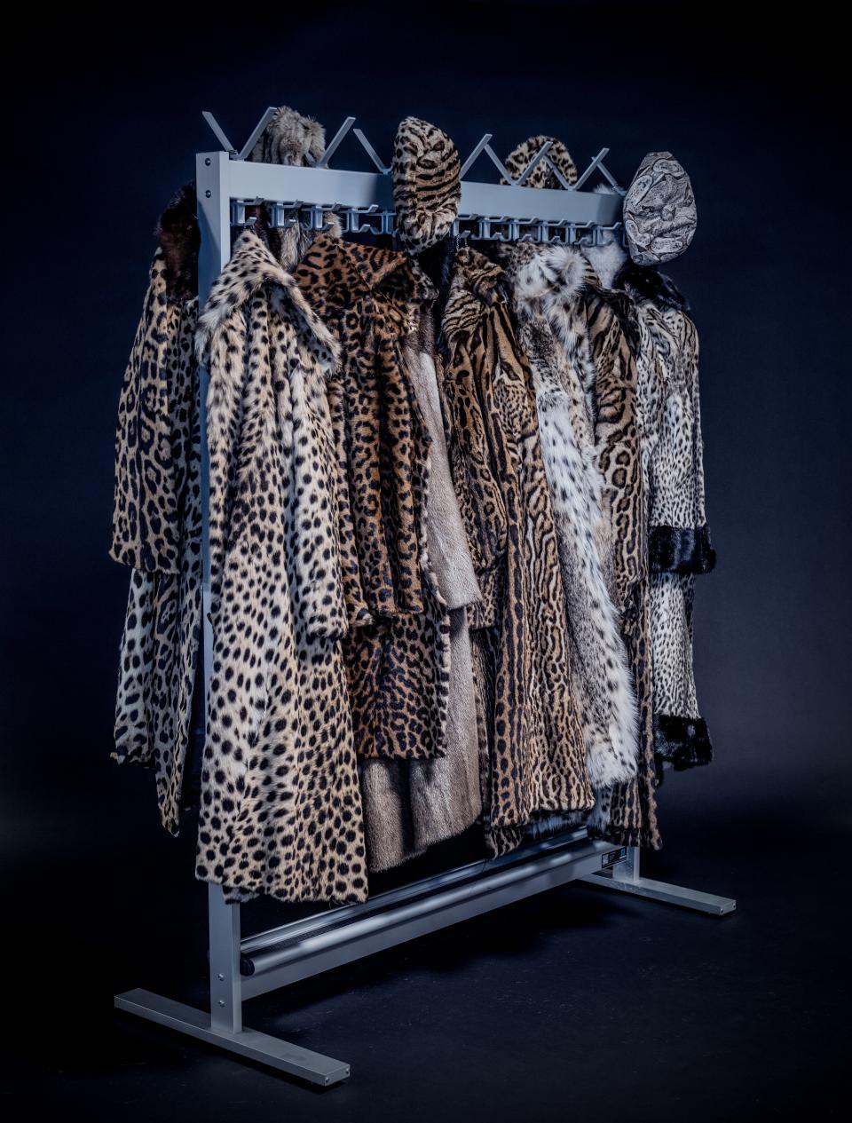 Coats made of endangered big cats