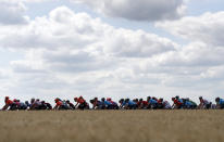 Riders pass by a corn field during the third stage of the Tour de France cycling race over 215 kilometers (133,6 miles) with start in Binche and finish in Epernay, Monday, July 8, 2019. (AP Photo/Thibault Camus)
