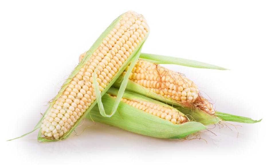 Every moment counts: sweetcorn will begin to convert its sugars into starches as soon as it is harvested.