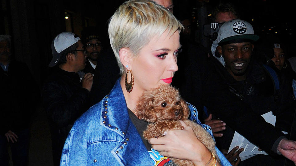 Katy Perry and her beloved Betty (Photo by Josiah Kamau/BuzzFoto via Getty Images)