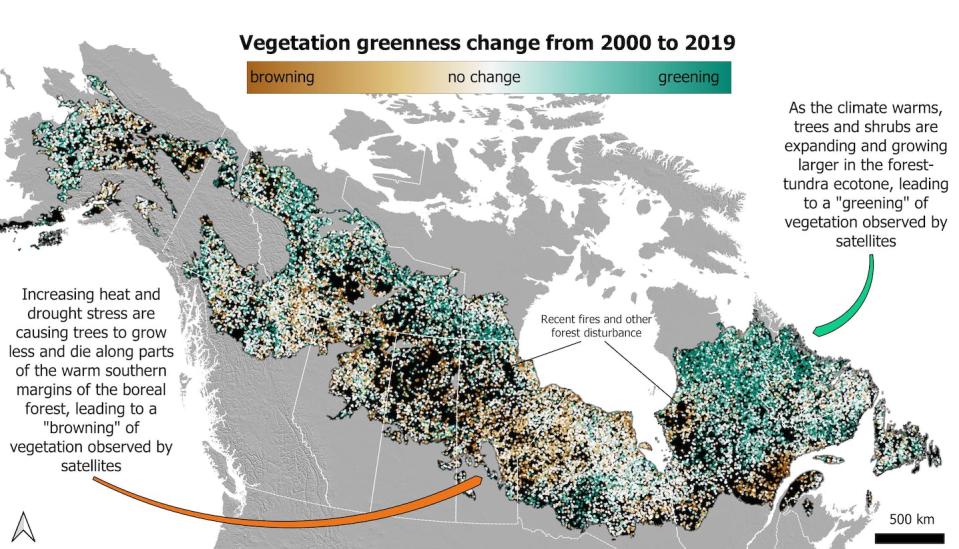 Satellite measurements show that plant growth widely increased along the cold northern margins of the boreal forest in recent decades, but it often decreased along the warm southern margins − potential early indicators that the boreal forest is beginning to migrate northward. <a href="https://doi.org/10.1111/gcb.16121" rel="nofollow noopener" target="_blank" data-ylk="slk:Logan Berner, based on results from Berner and Goetz 2022.;elm:context_link;itc:0;sec:content-canvas" class="link ">Logan Berner, based on results from Berner and Goetz 2022.</a>, <a href="http://creativecommons.org/licenses/by-nd/4.0/" rel="nofollow noopener" target="_blank" data-ylk="slk:CC BY-ND;elm:context_link;itc:0;sec:content-canvas" class="link ">CC BY-ND</a>