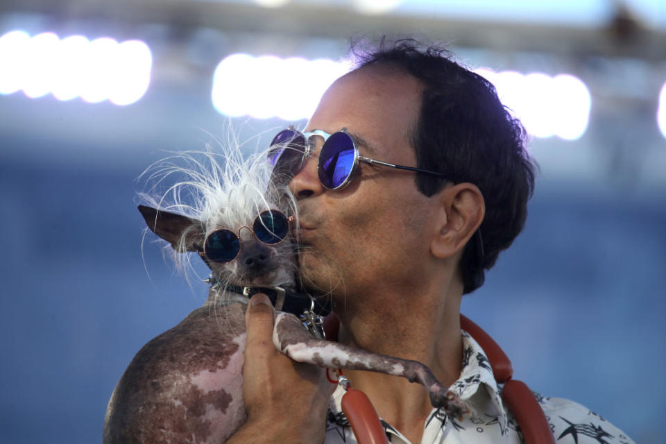 Dane Andrew holds his dog Rascal during the World's Ugliest Dog contest at the Marin-Sonoma County Fair on June 21, 2019 in Petaluma, California. A dog named Scamp the Tramp from Santa Rosa, California won the annual World's Ugliest Dog contest. | Justin Sullivan—Getty Images