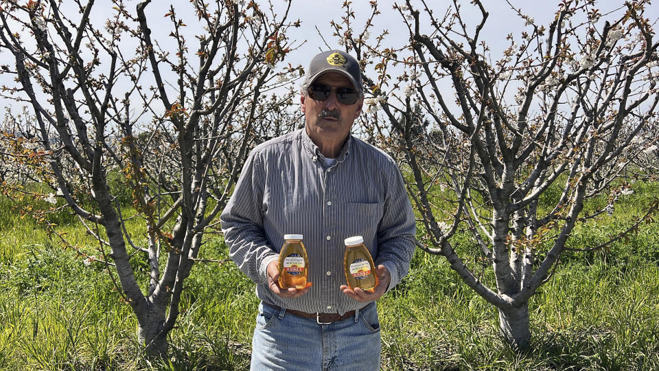 Beekeeper Gene Brandi poses with containers of sage honey at a cherry tree orchard in San Juan Bautista, Calif., Thursday, Aug. 6, 2023. Brandi said he had to feed his bees twice as much as usual during almond pollination. But with spring rushing in, he said he'll take his hives to the California coast where bees can forage on a native plant to make sage honey, a premium product that he can only make every few years when there's ample rain. The last sage honey Brandi has in his shop dates back to 2019. (AP Photo/Terry Chea)