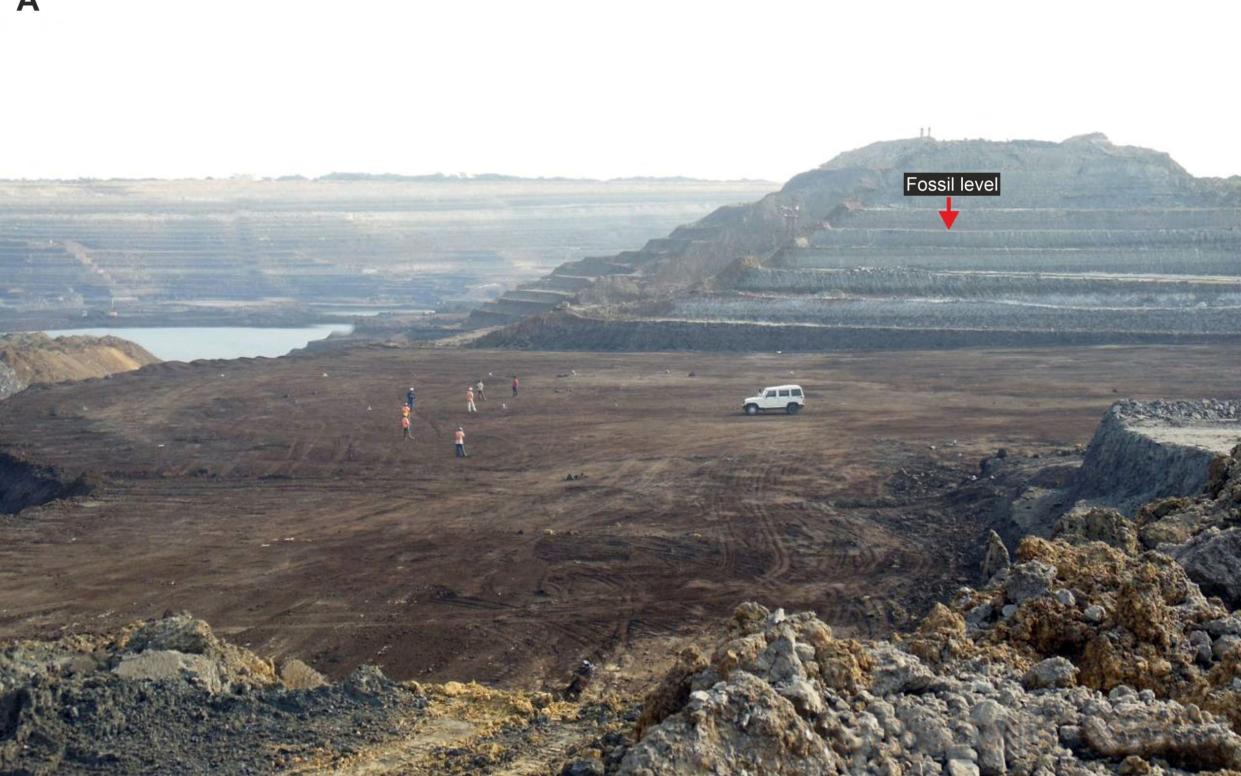 Panandhro mine, in Kutch, Gujarat, India where the remains were found