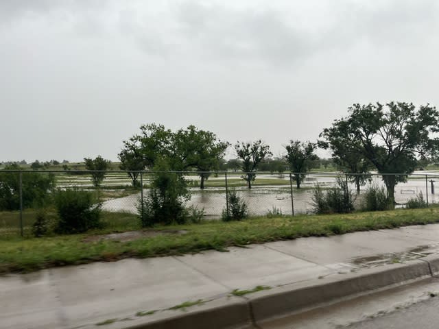 <em>Standing water at a park in Las Vegas, New Mexico | Photo by Lisa Morales</em>