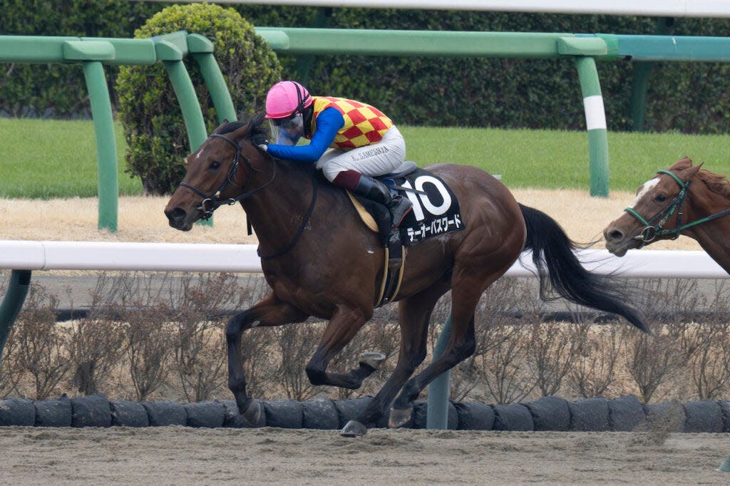 T O Password and jockey Katsuma Sameshima won the Fukuryu Stakes on March 23 in Japan