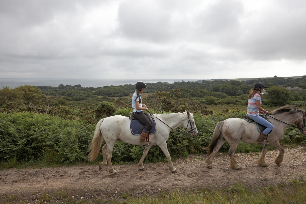 Horses and riders near Studland 