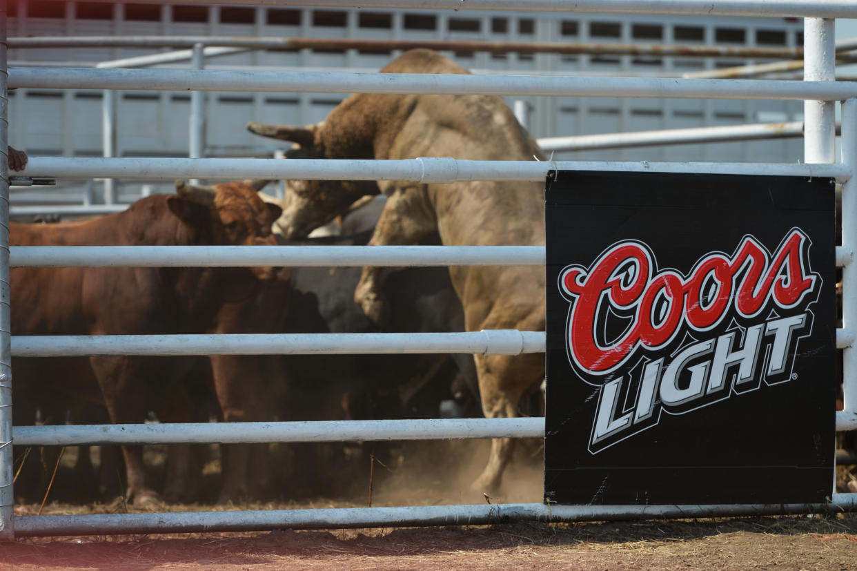 A herd of bulls awaiting for their round during the 105th Annual Bruce Stampede, the oldest one day rodeo in Canada.  On Sunday, July 29, 2018, in Bruce, Alberta, Canada. (Photo by Artur Widak/NurPhoto via Getty Images)