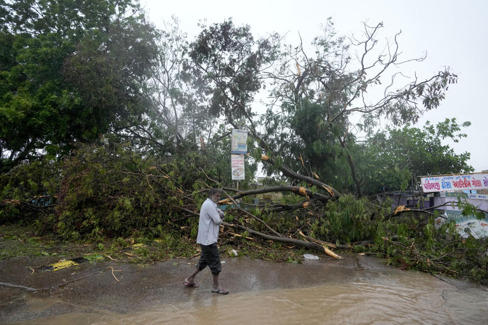 A man walks past an uprooted tree following heavy winds and incessant rains after landfall of cyclone Biparjoy at Mandvi in Kutch district of Western Indian state of Gujarat, Friday, June 16, 2023. Cyclone Biparjoy knocked out power and threw shipping containers into the sea in western India on Friday before aiming its lashing winds and rain at part of Pakistan that suffered devastating floods last year. (AP Photo/Ajit Solanki)