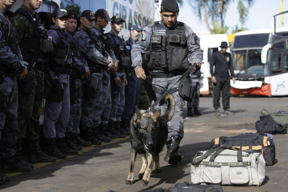 A police handles a dog during security operations' training related to the upcoming 2014 World Cup in Brasilia, Brazil, Thursday, March 13, 2014. (AP Photo/Eraldo Peres)