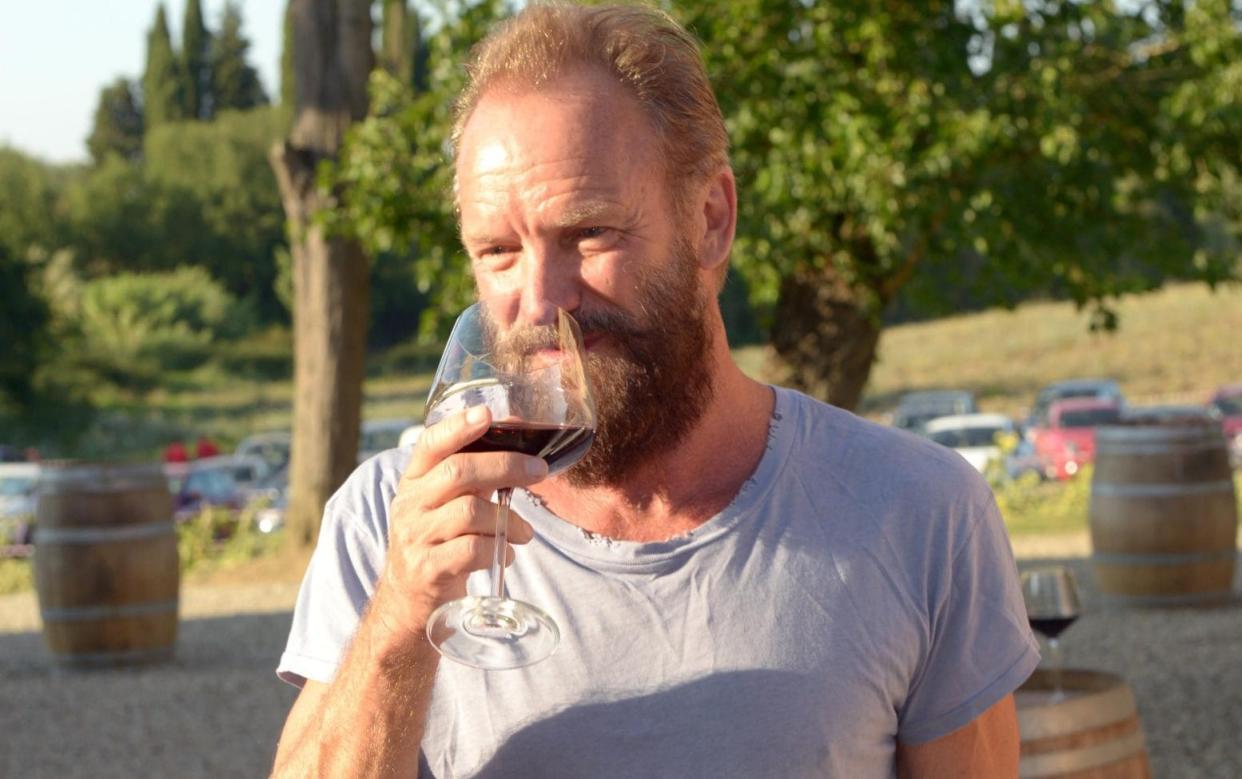 Sting - Sandro Michahelles/Sintesi