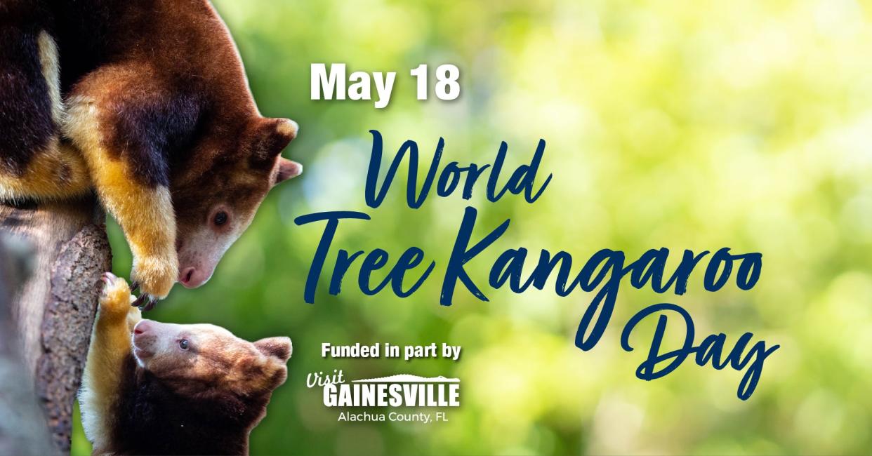 The Santa Fe College Teaching Zoo will host a family friendly celebration of World Tree Kangaroo Day from 9 a.m. to 3 p.m. May 18.
