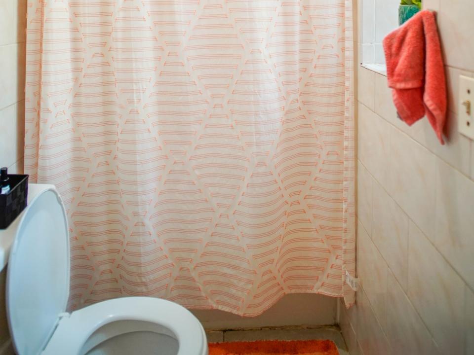 A view of the authors bathroom shows the toilet on the left, a plant on the windowsill on the right, and a shower with a pink and white curtain in the back