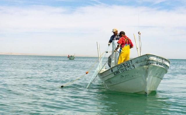 Pesca en aguas interiores