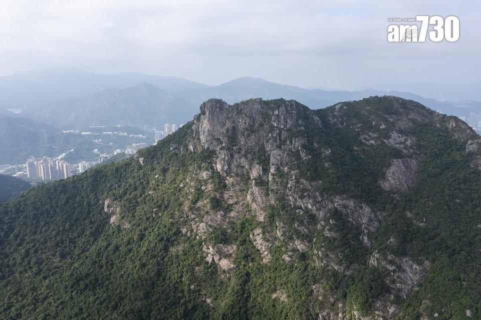 一名婦人食用由獅子山行山人士給予的野生菇類後，懷疑食物中毒。(資料圖片／陳奕釗攝)