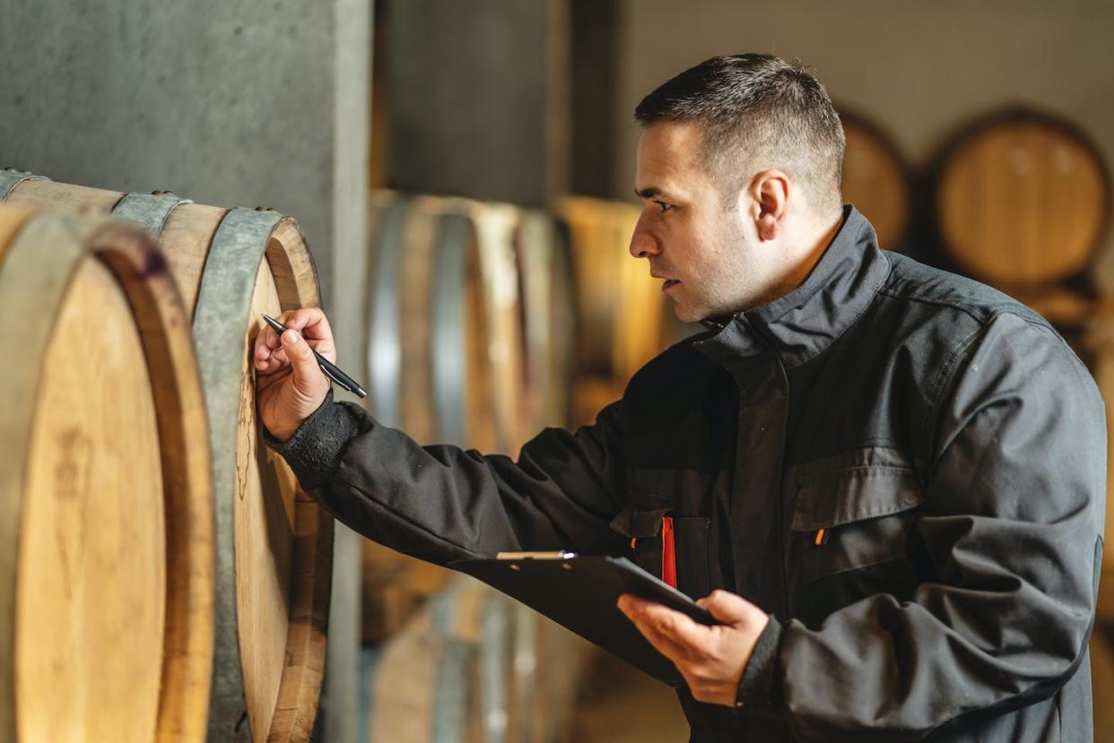 <a href="https://www.shutterstock.com/es/image-photo/side-view-adult-man-winemaker-winery-1941351106" rel="nofollow noopener" target="_blank" data-ylk="slk:Shutterstock / Miljan Zivkovic;elm:context_link;itc:0;sec:content-canvas" class="link ">Shutterstock / Miljan Zivkovic</a>