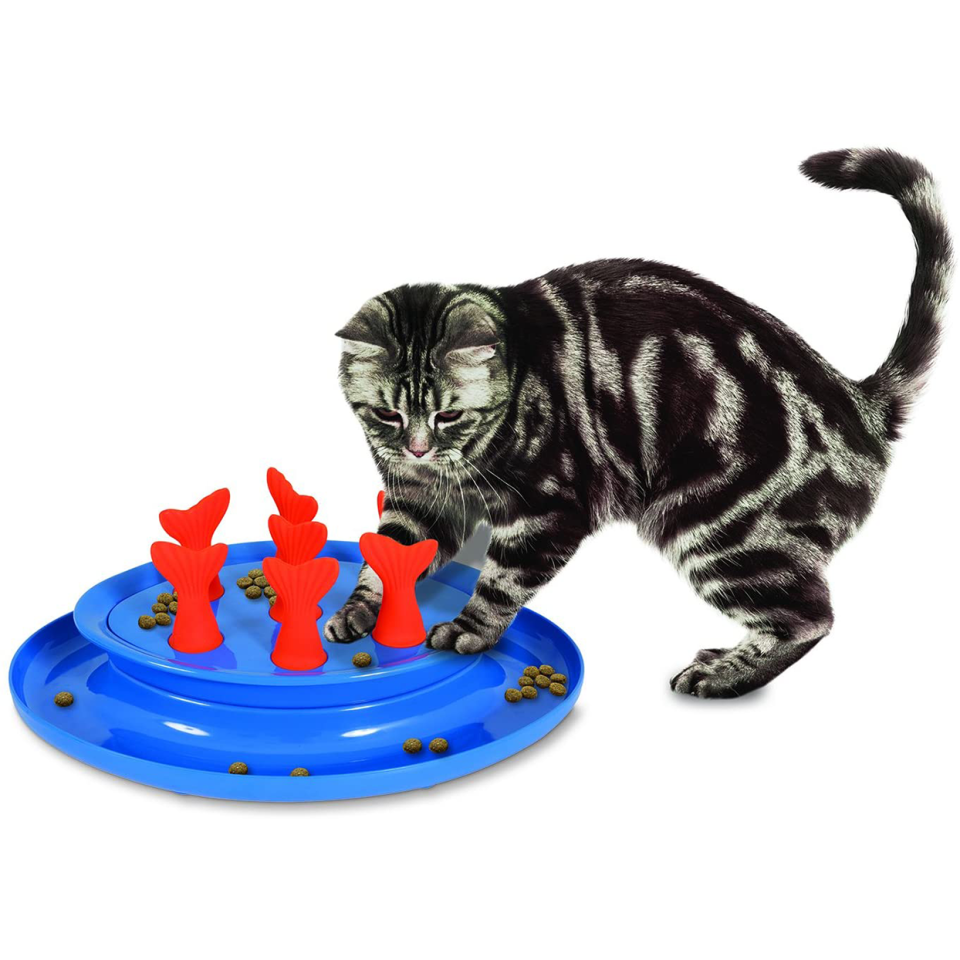 petmate jackson galaxy go fish slow feeder puzzle bowl